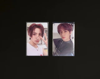 Premium Matte Photocard Sleeves, 57 x 88mm