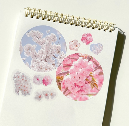 Cherry Blossom Diary Decoration Kit