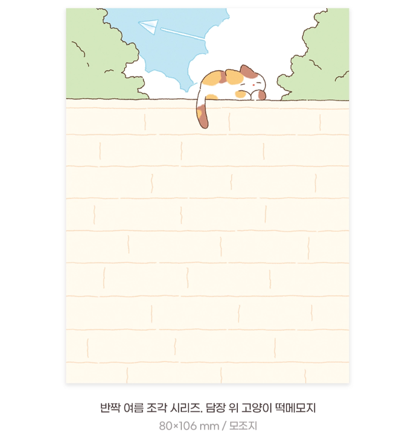 Cat on the Fence Memo Pad